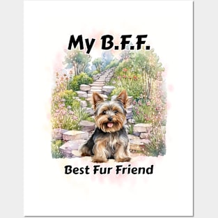 Dog - BFF Yorkie Posters and Art